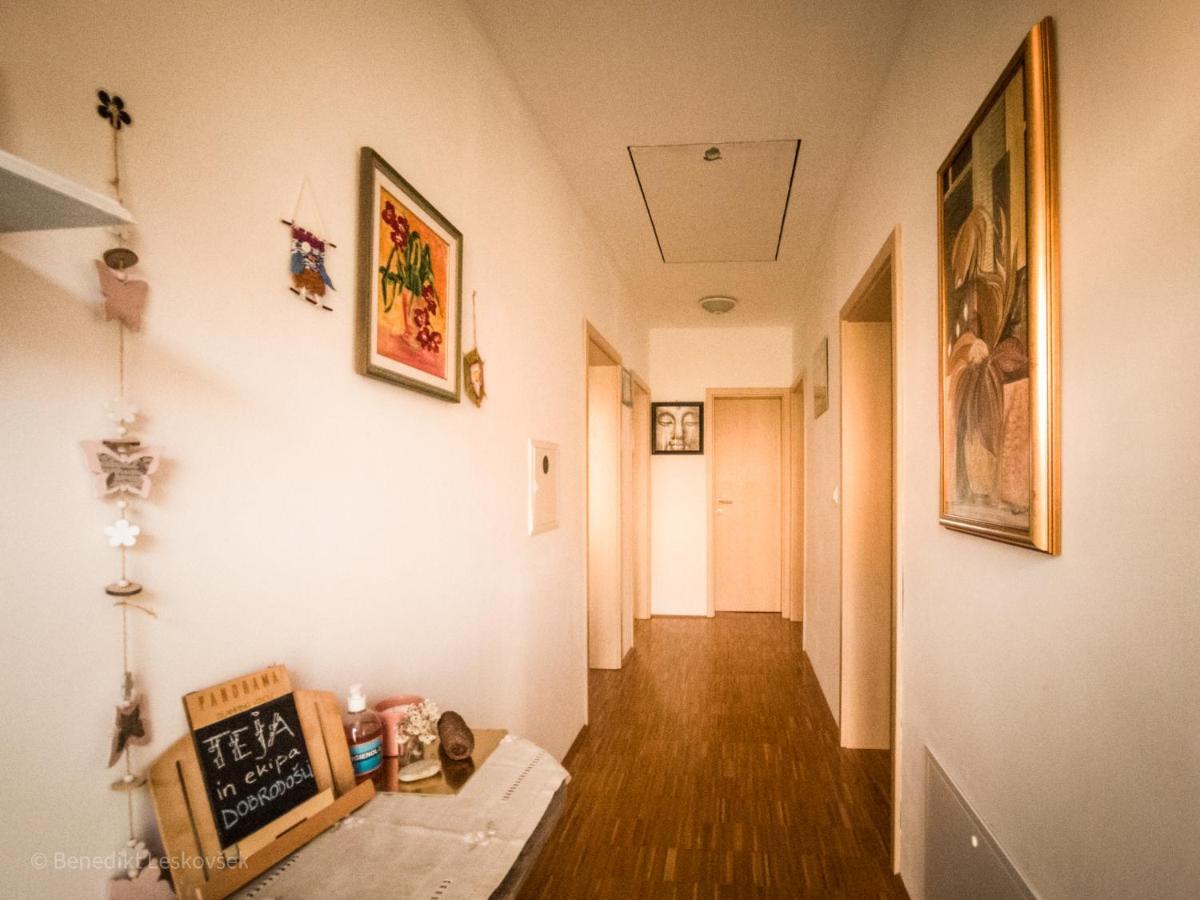 Panorama Glamping Visole Hotel Beszterce Kültér fotó