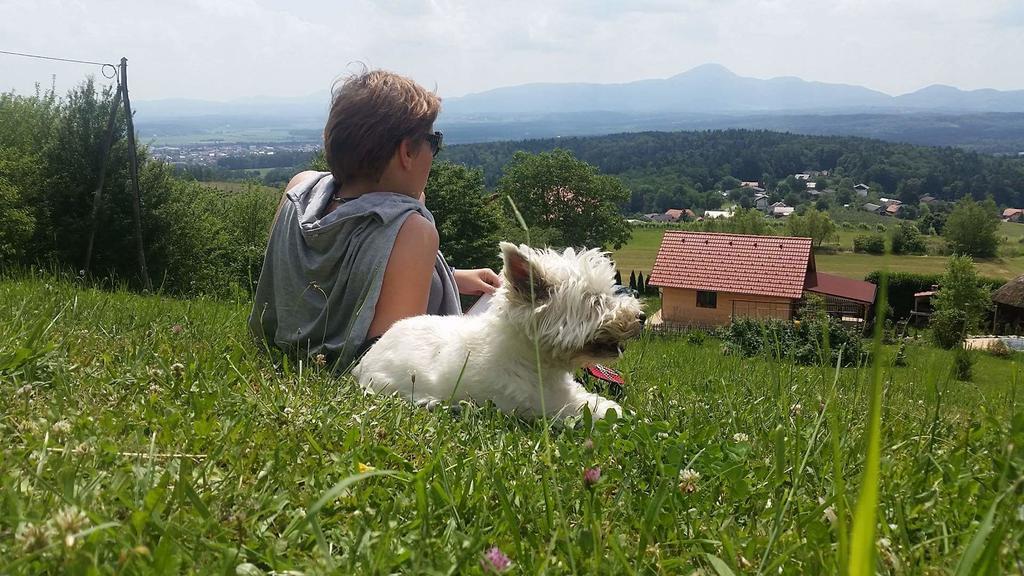 Panorama Glamping Visole Hotel Beszterce Kültér fotó